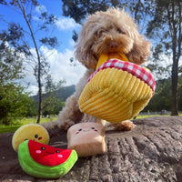 Picnic Time Hide & Seek Dog Toy By Hugsmart