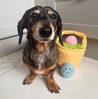 Zippy Burrow Easter Basket Toy By Zippy Paws