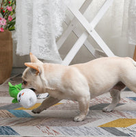 Feisty Veggie Bok Choy Treat Dispenser Dog Toy By Hugsmart