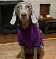 Royal Purple Cosy Dog Hoodie