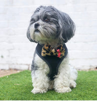 Bow Tie Harness Clip By The Distinguished Dog Company