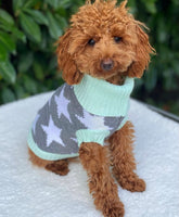 Star Struck Pooch Knitted Sweater By Love From Betty