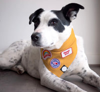 Pink Rescue Merit Iron On Patch By Scout’s Honour