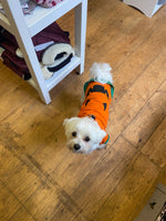 Halloween Pumpkin Dog T-Shirt By The Luna Co