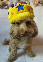 Canine Party Crown Dog Toy by P.L.A.Y