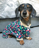 Dinosaur Land Dog Pyjamas By FuzzYard