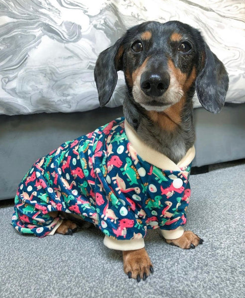 Dinosaur Land Dog Pyjamas By FuzzYard