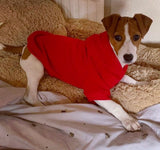 Ruby Red Cosy Dog Hoodie