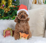 Happy Woofmas Holiday Reindeer Ball Toy By Hugsmart