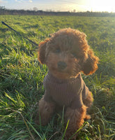 Dog Fleece & Knit Jumper Chocolate By House Of Paws