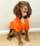 Bright Orange Cosy Dog Hoodie