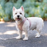 FuzzYard Life Blush Pink Step In Dog Harness By Fuzzyard
