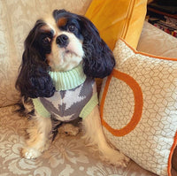 Star Struck Pooch Knitted Sweater By Love From Betty