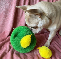 Hoppin’ Easter Chirpy Chicks Hide & Seek Dog Toy By Hugsmart
