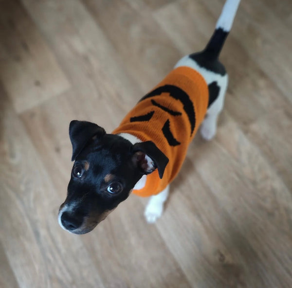 S M L Halloween Pumpkin Dog Sweater By Midlee