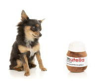 Mutella Jar Plush Dog Toy By FuzzYard