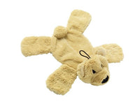 No Stuffing Bear Crinkle Dog Toy By House Of Paws