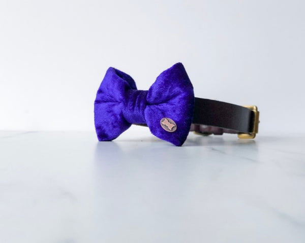 Purple Pomp Velvet Dog Bow Tie By The Distinguished Dog Company
