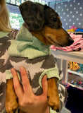 Star Struck Pooch Knitted Sweater By Love From Betty