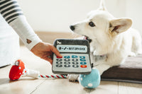 Doggie Digits Calculator Dog Toy by P.L.A.Y