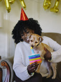 Bone-Appetit Cake Dog Toy by P.L.A.Y